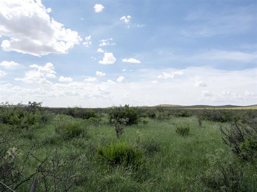 Great West Texas Land : Sierra Blanca : Hudspeth County : Texas
