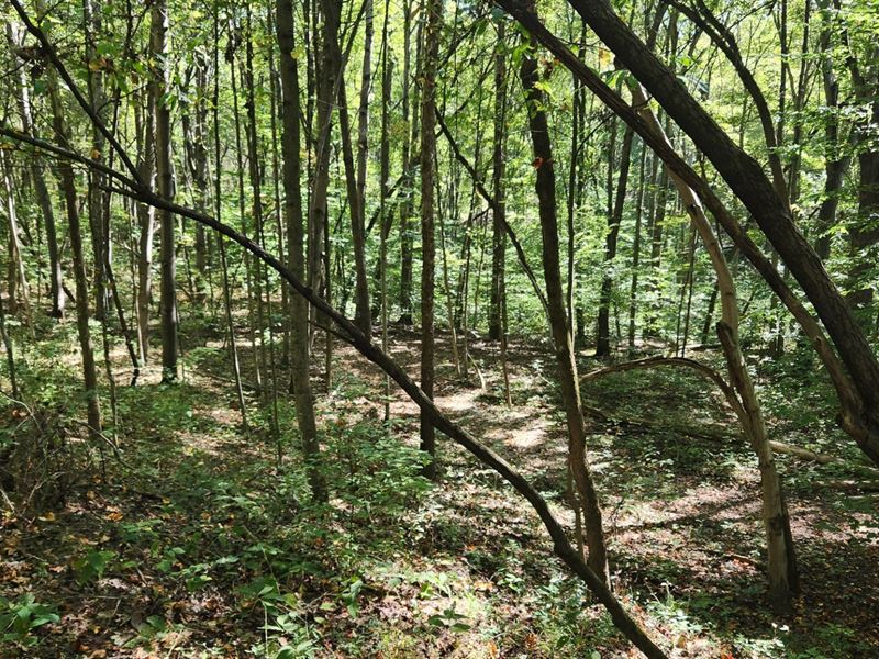 The Ponds at Poplar Ridge Tr 14 : Gallipolis : Gallia County : Ohio