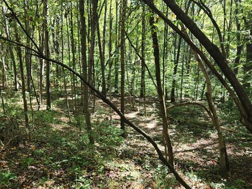 The Ponds at Poplar Ridge Tr 14 : Gallipolis : Gallia County : Ohio