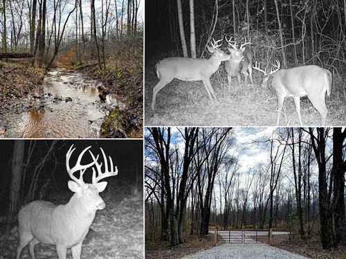 Lot 4, The Woods at Turkey Run : New Lexington : Perry County : Ohio