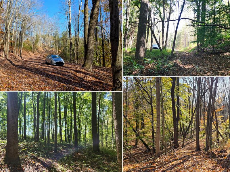 The Ponds at Poplar Ridge Tr 13 : Gallipolis : Gallia County : Ohio