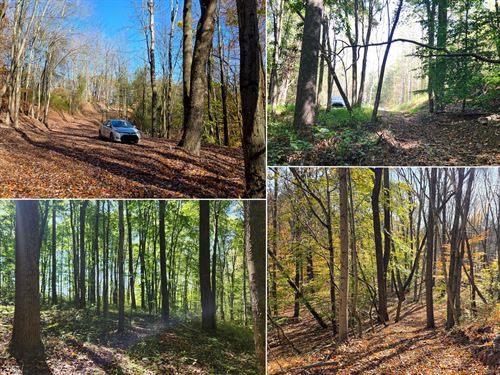 The Ponds at Poplar Ridge Tr 13 : Gallipolis : Gallia County : Ohio