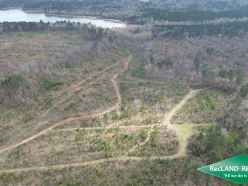 130 Ac Timberland & Recreation : Plain Dealing : Bossier Parish : Louisiana