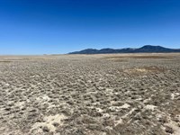 Prime Open Space Land : Wells : Elko County : Nevada
