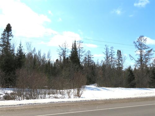 Hunting Parcel Near Rhinelander : Newbold : Oneida County : Wisconsin