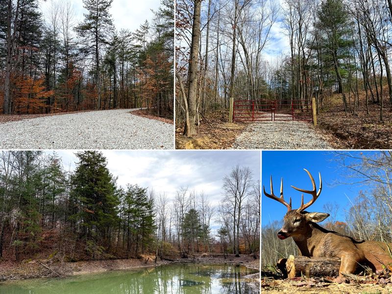Lot 3-The Woods at Turkey Run : New Lexington : Perry County : Ohio
