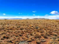 Dual 5 Acre CO Lots, Blanca Views : Blanca : Costilla County : Colorado