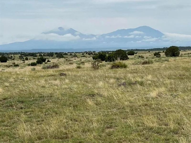 215 Greenhorn, Walsenburg, CO 81089 : Walsenburg : Huerfano County : Colorado