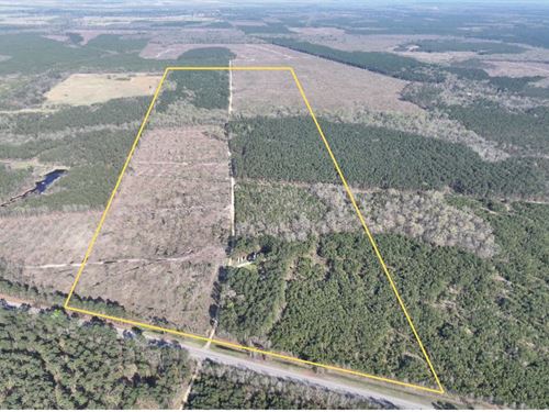 235 Acres, Highway 37, Kiskadee : Albion : Red River County : Texas