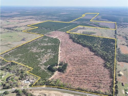 816 Acres, FM 195, Kiskadee : Addielou : Red River County : Texas