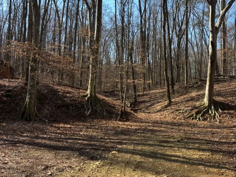 14.43 Acres in Bradley County, TN : Cleveland : Bradley County : Tennessee