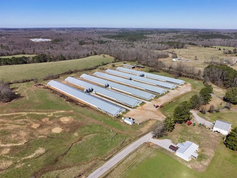 H&S Broiler Farm : Hackleburg : Marion County : Alabama