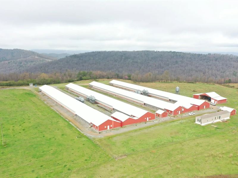 Rung Breeder Farm : Albertville : Marshall County : Alabama