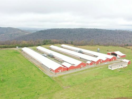 Rung Breeder Farm : Albertville : Marshall County : Alabama