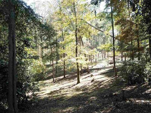 Maple Street 11 Acres : Franklin : Heard County : Georgia
