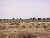 Space, Privacy & Opportunity : Saint Johns : Apache County : Arizona