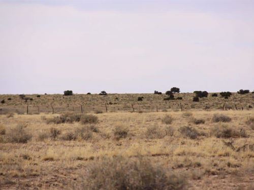 Space, Privacy & Opportunity : Saint Johns : Apache County : Arizona