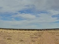 High-Desert Retreat : Saint Johns : Apache County : Arizona