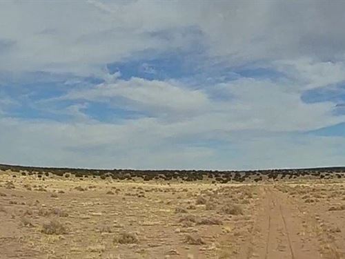 High-Desert Retreat : Saint Johns : Apache County : Arizona