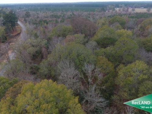 64 Ac Wooded Tract for Home Site : Hamburg : Ashley County : Arkansas
