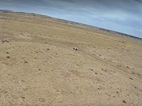 Wide-Open Desert Freedom : Saint Johns : Apache County : Arizona