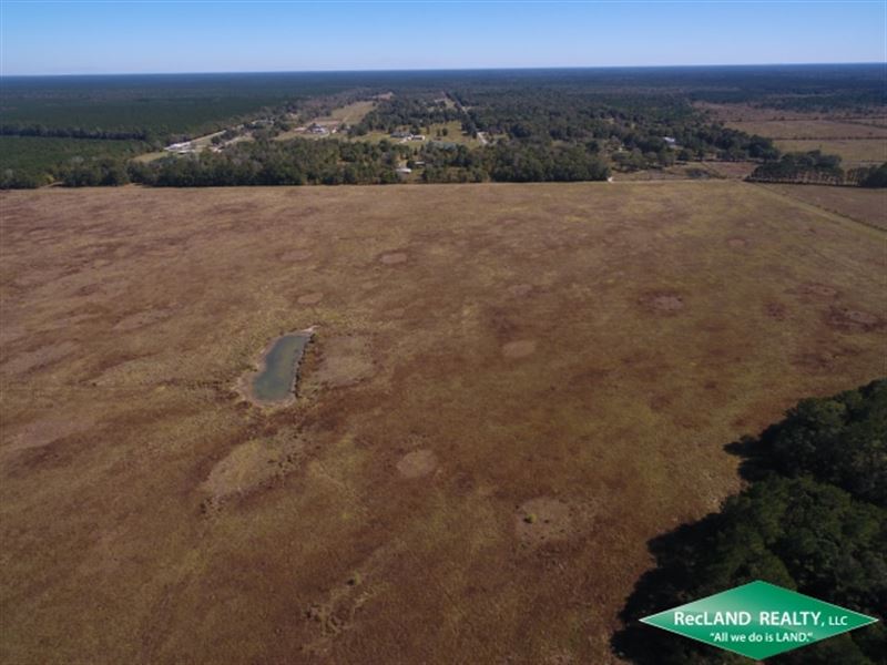 1295 Ac Hunting, Development : Kountze : Hardin County : Texas