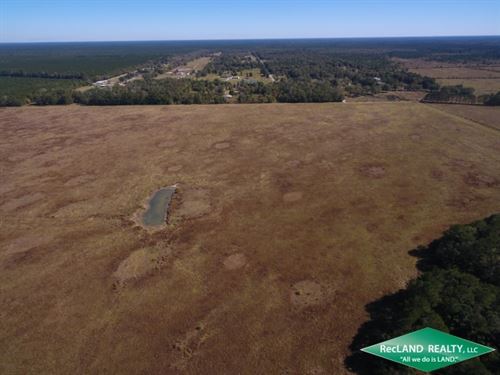 1295 Ac Hunting, Development : Kountze : Hardin County : Texas