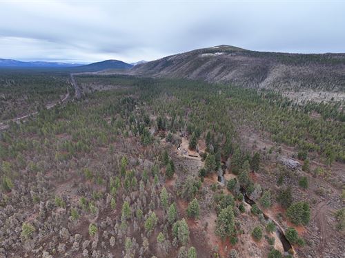 Butte Creek Ranch : Macdoel : Siskiyou County : California