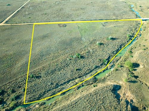 10 Acres, Wolchik Road : Sealy : Austin County : Texas