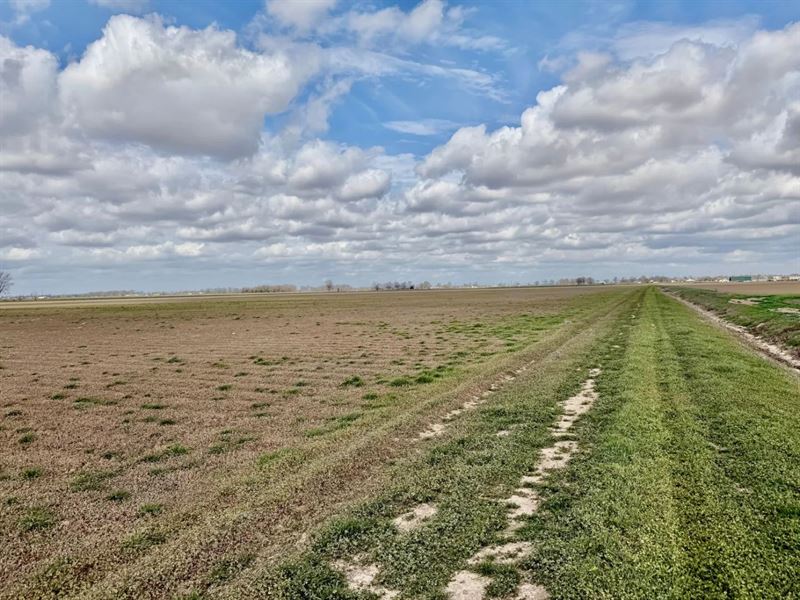 72 Acres in Bolivar County in Cleve : Cleveland : Bolivar County : Mississippi