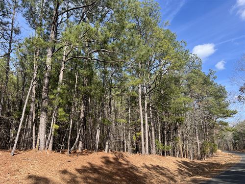 McCormick Homestead & Recreational : McCormick : South Carolina