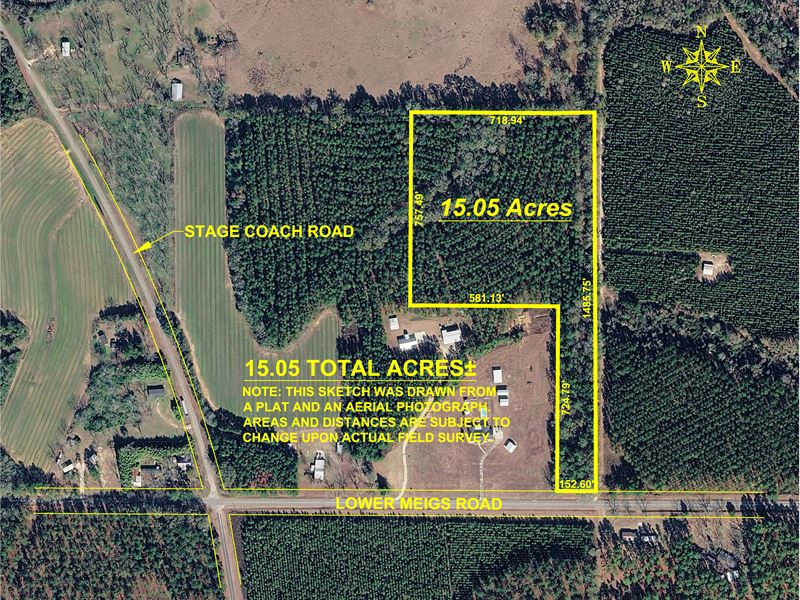 15 Acres of Planted Pine Timberland : Meigs : Mitchell County : Georgia