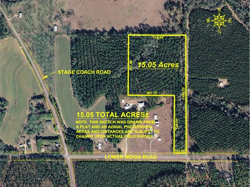 15 Acres of Planted Pine Timberland : Meigs : Mitchell County : Georgia