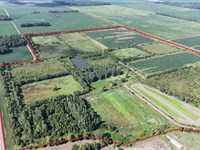 Cameta Brake Farm 460, Sharkey, MS : Anguilla : Sharkey County : Mississippi