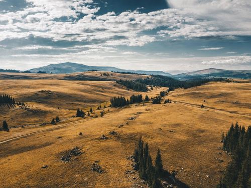 Your Frontier Retreat Awaits : Wheatland : Albany County : Wyoming