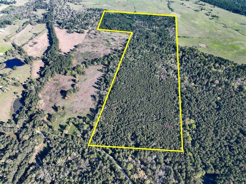 111 Acres, Bishop Road : Huntsville : Walker County : Texas
