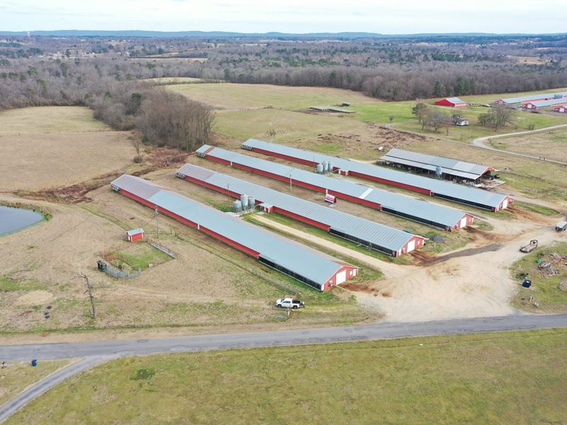 Blue Hole Broiler Farm : Fyffe : Dekalb County : Alabama