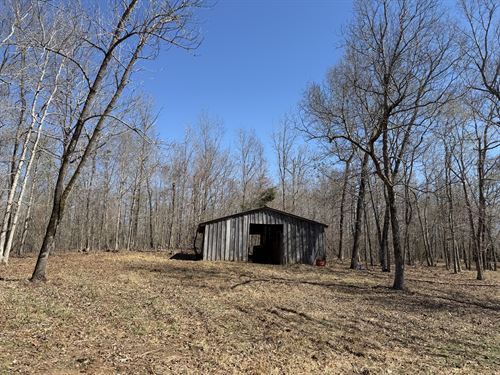 Unrestricted Wooded Land with Barn : Adamsville : Hardin County : Tennessee