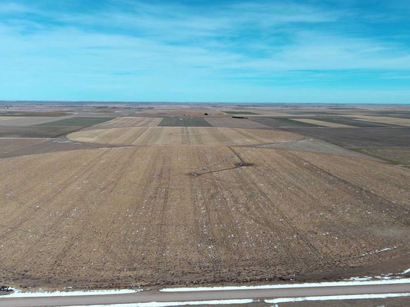 SE Cheyenne County Pivot Irrigated : Sidney : Cheyenne County : Nebraska