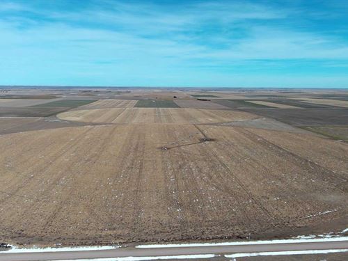 SE Cheyenne County Pivot Irrigated : Sidney : Cheyenne County : Nebraska