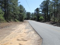 Ideal Homesite Near Northport : Northport : Tuscaloosa County : Alabama
