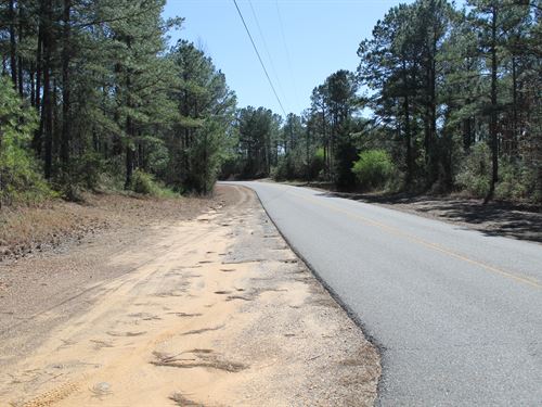 Ideal Homesite Near Northport : Northport : Tuscaloosa County : Alabama