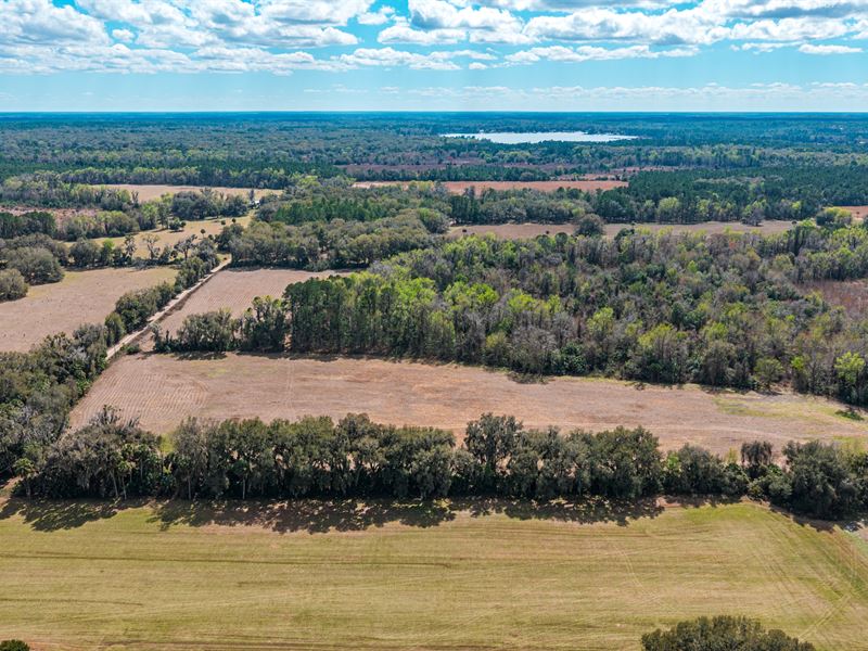 Putnam County Farmland : Florahome : Putnam County : Florida