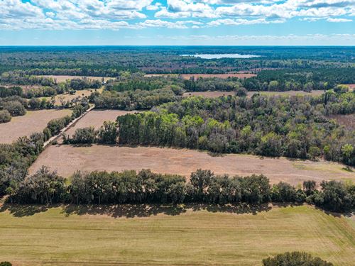 Putnam County Farmland : Florahome : Putnam County : Florida