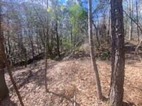 25 Ac Turkey Creek Rd, Natchez, MS : Natchez : Adams County : Mississippi