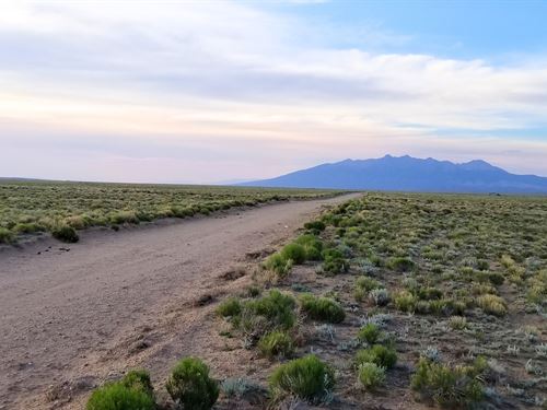 Made for a Simple Cabin Life : Sanford : Costilla County : Colorado