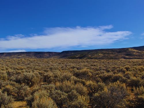 5 Acres Mountain Views CO : San Acacio : Costilla County : Colorado