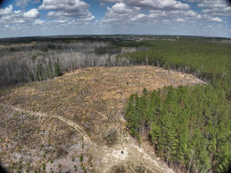 The Cedar Creek Tract : Wrightsville : Johnson County : Georgia