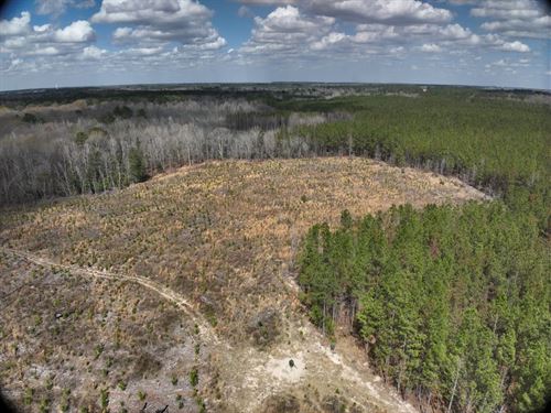 The Cedar Creek Tract : Wrightsville : Johnson County : Georgia