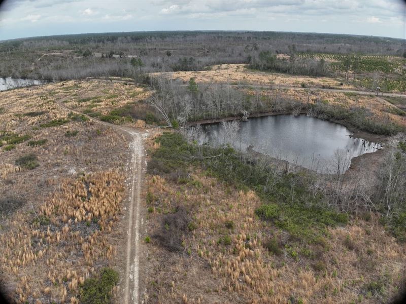 Tarrytown Recreation Tract : Tarrytown : Treutlen County : Georgia